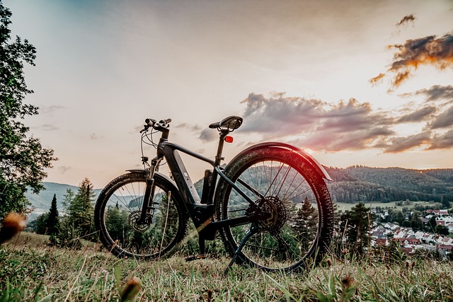 Fehlerdiagnose & Problemlösung bei E-Bike Kaufberatung & Modelle